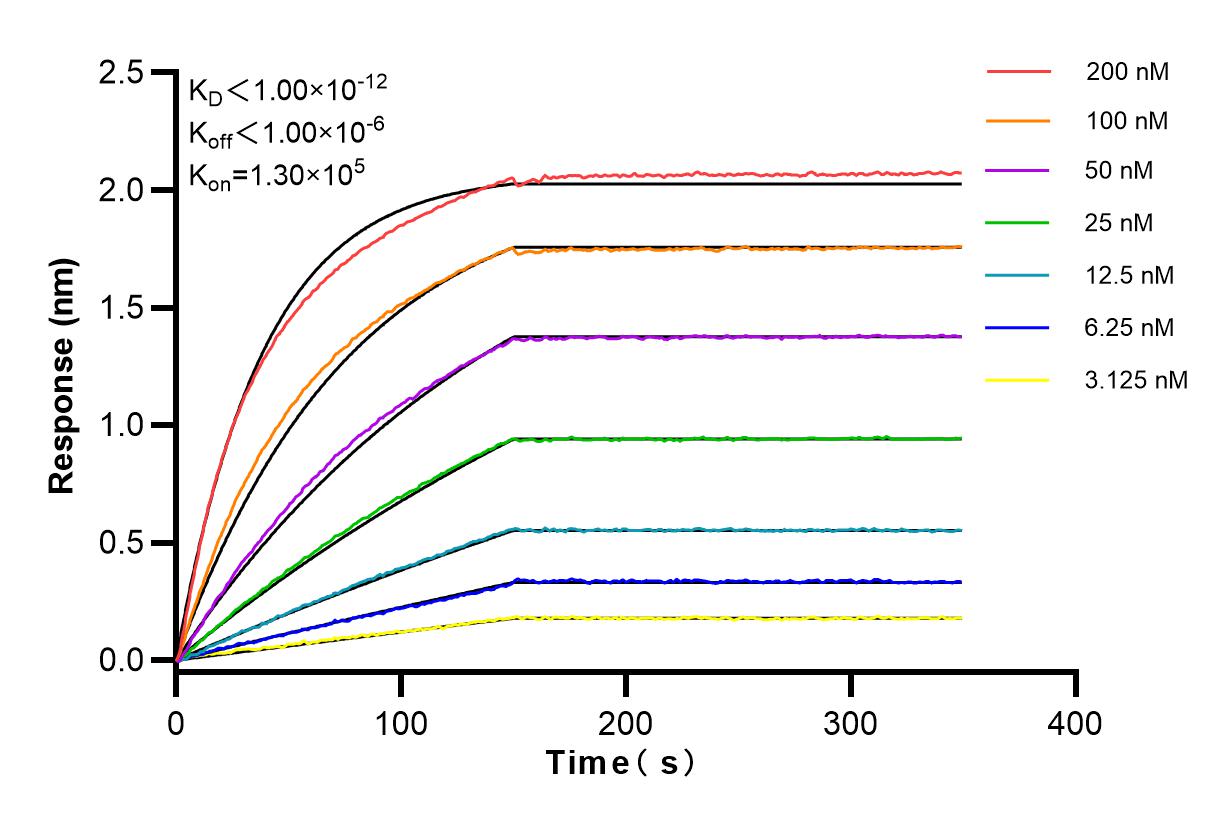Affinity and Kinetic Characterization of 83706-6-PBS