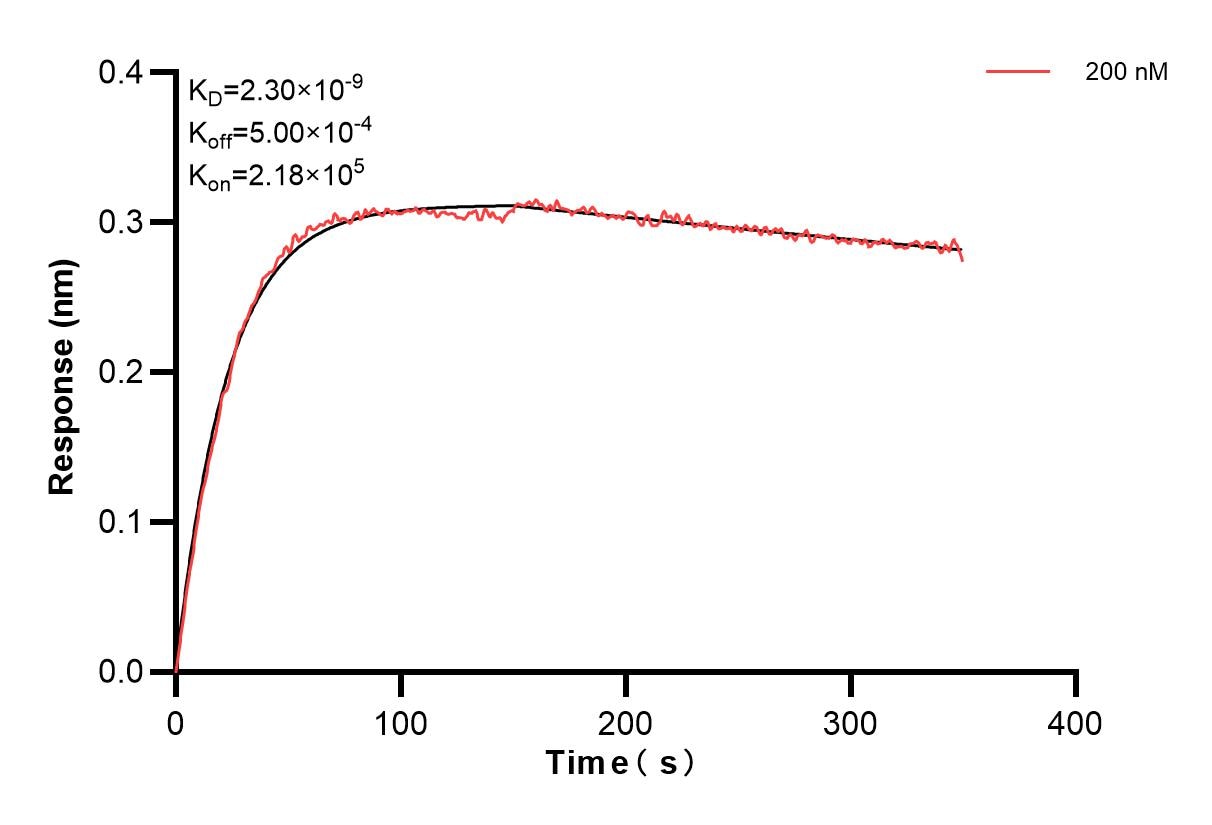 Affinity and Kinetic Characterization of 83709-2-PBS