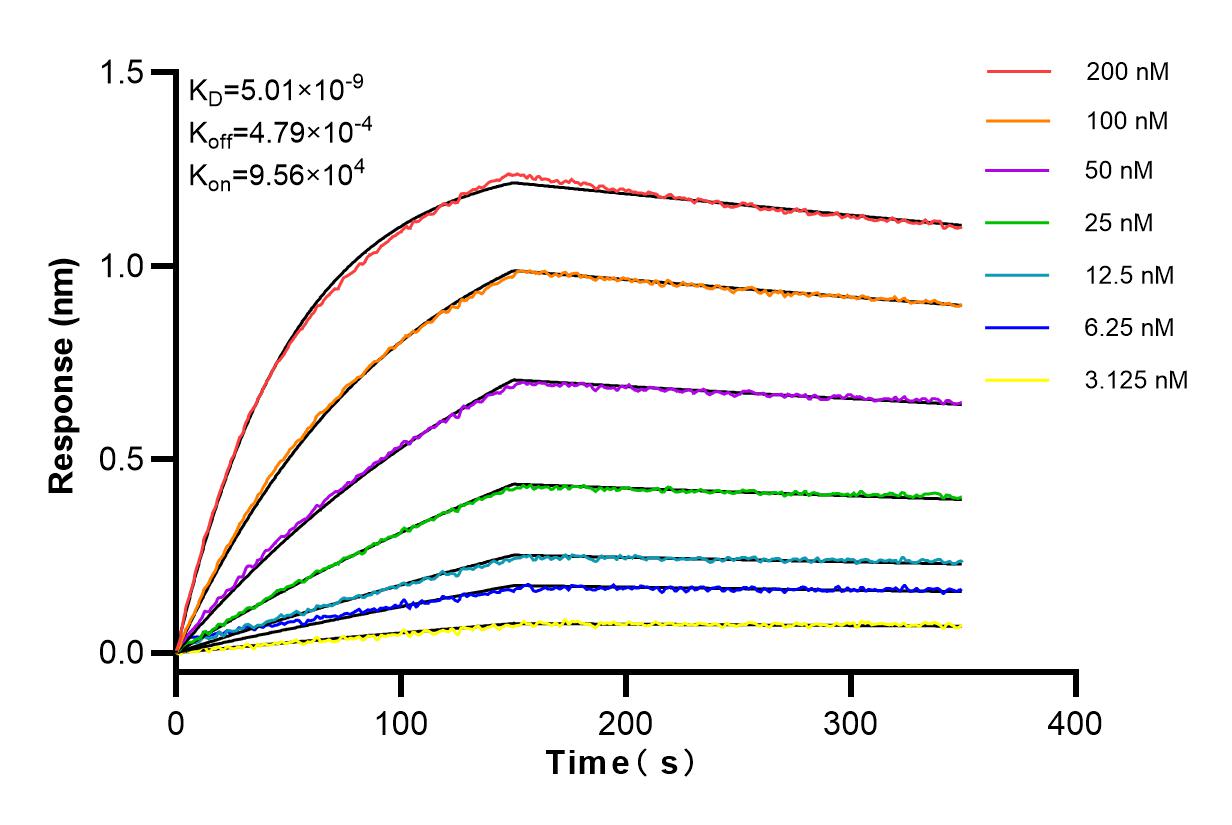Affinity and Kinetic Characterization of 83710-1-RR