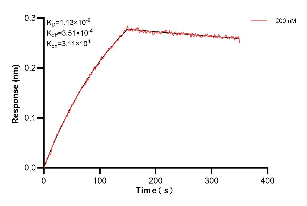Affinity and Kinetic Characterization of 83720-1-PBS