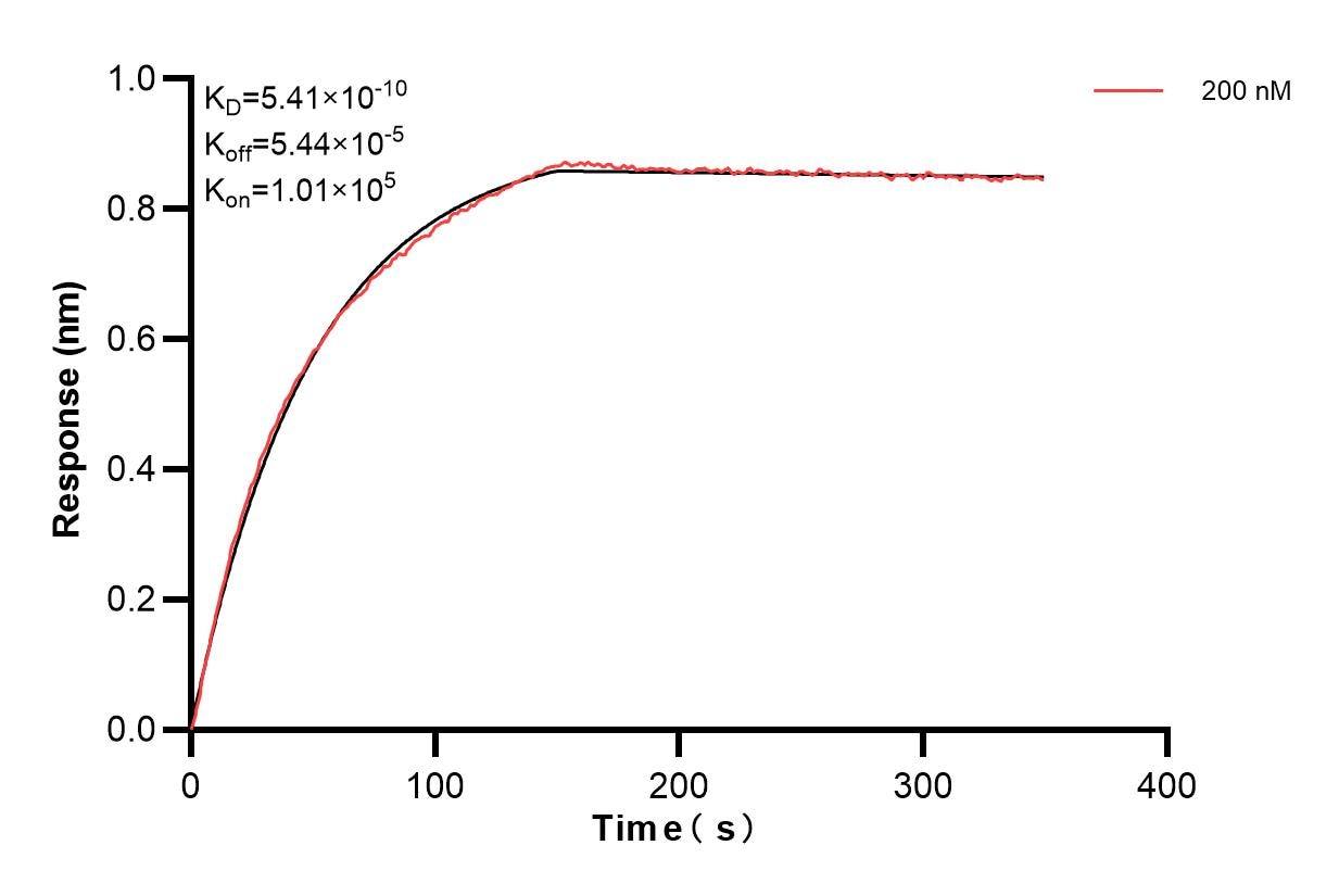 Affinity and Kinetic Characterization of 83720-4-PBS