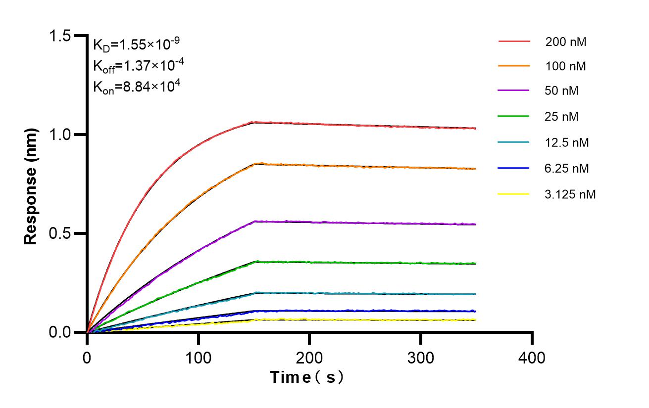 Affinity of 83725-3-PBS Affinity of 83725-3-PBS