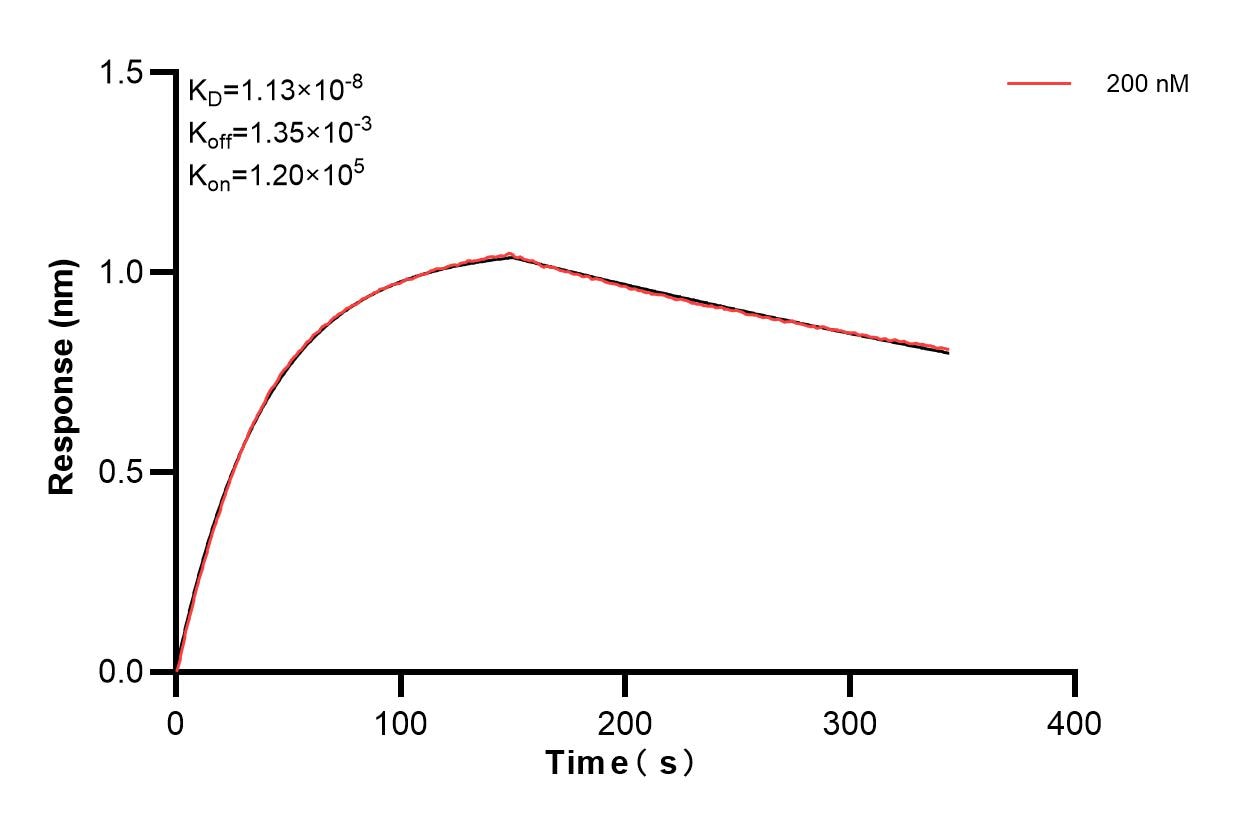 Biolayer interferometry (BLl) kinetic assay of 83726-3-PBS against Human IL-1RAP were performed. The affinity constant is 11.3 nM. Affinity of 83726-3-PBS