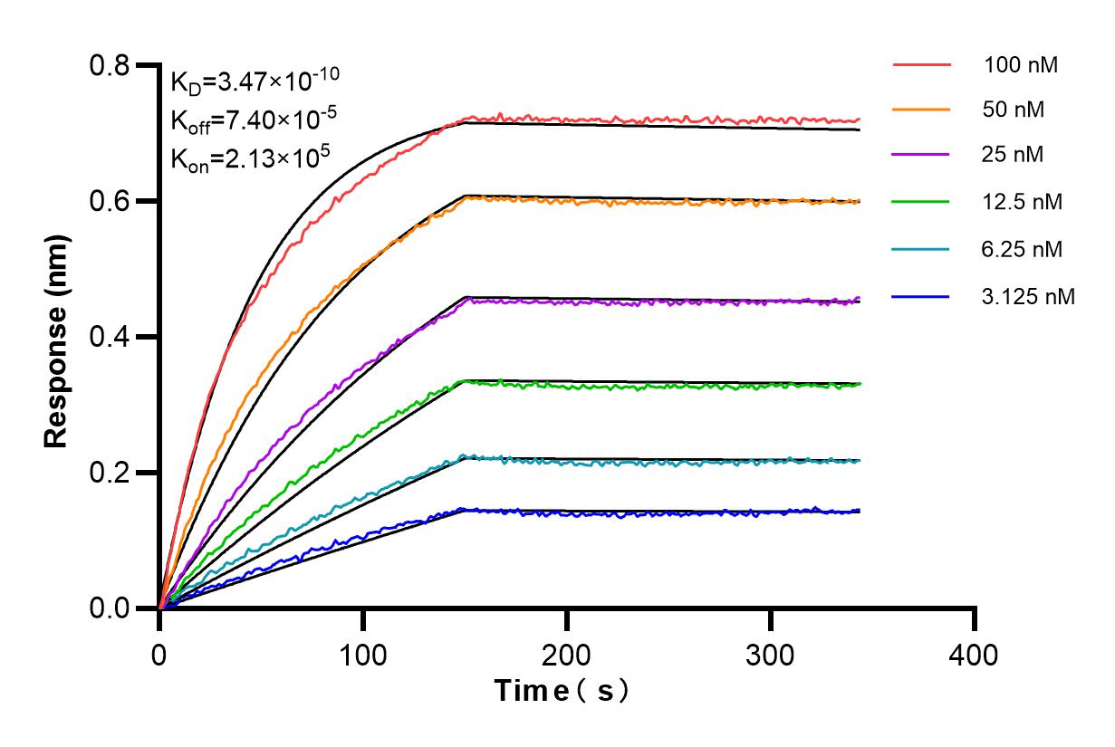 Affinity and Kinetic Characterization of 83735-6-RR