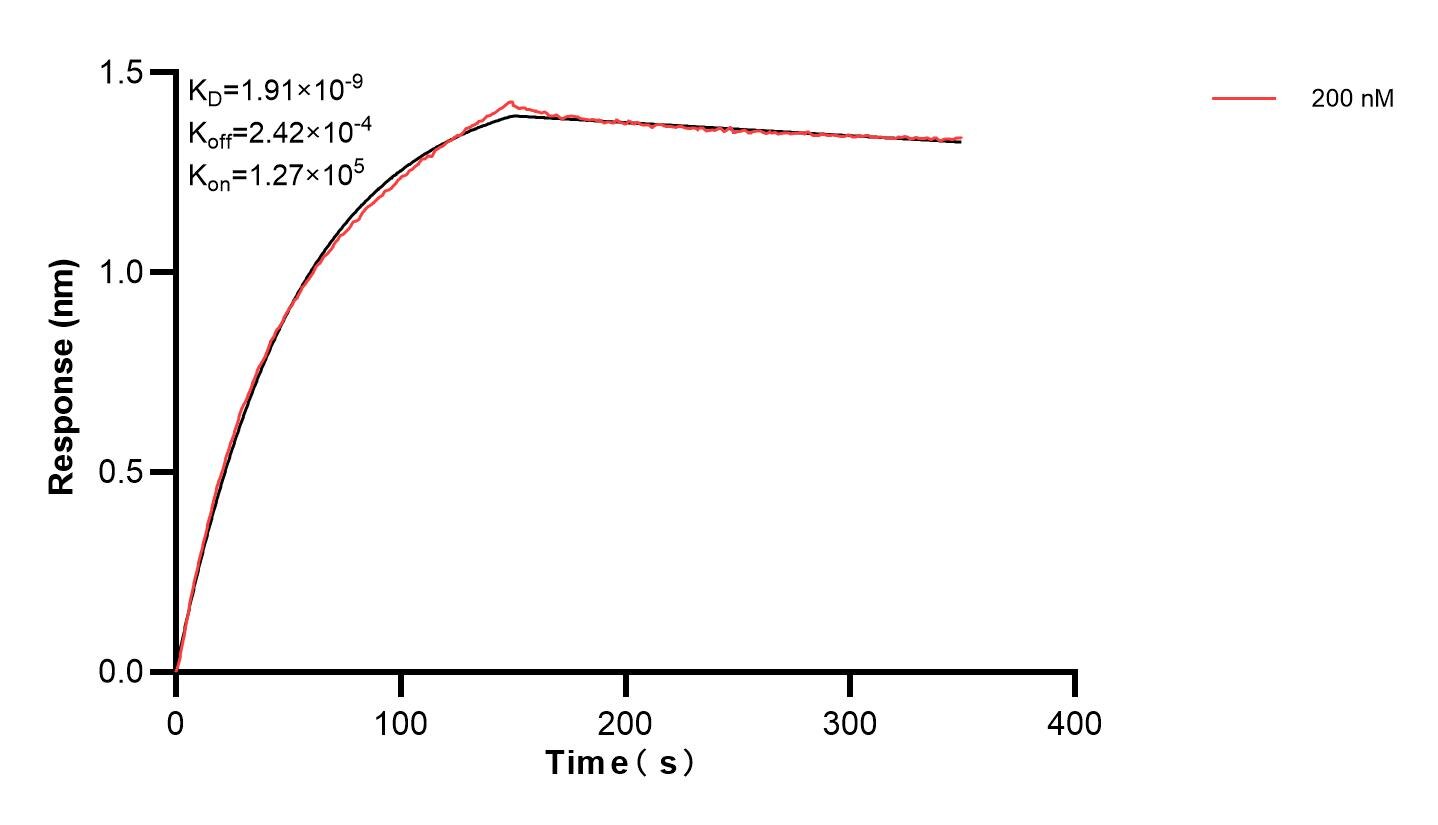 Affinity and Kinetic Characterization of 83736-1-PBS