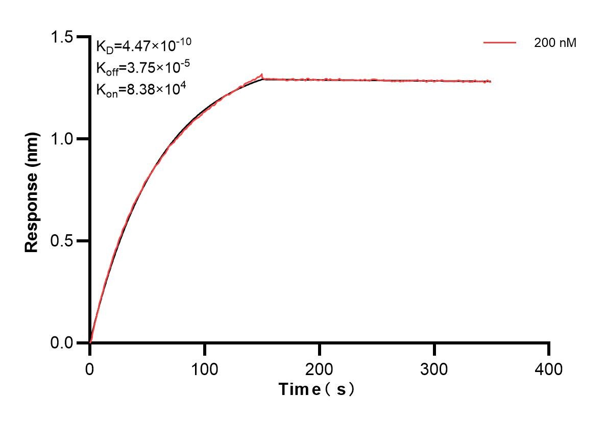 Affinity and Kinetic Characterization of 83736-3-PBS