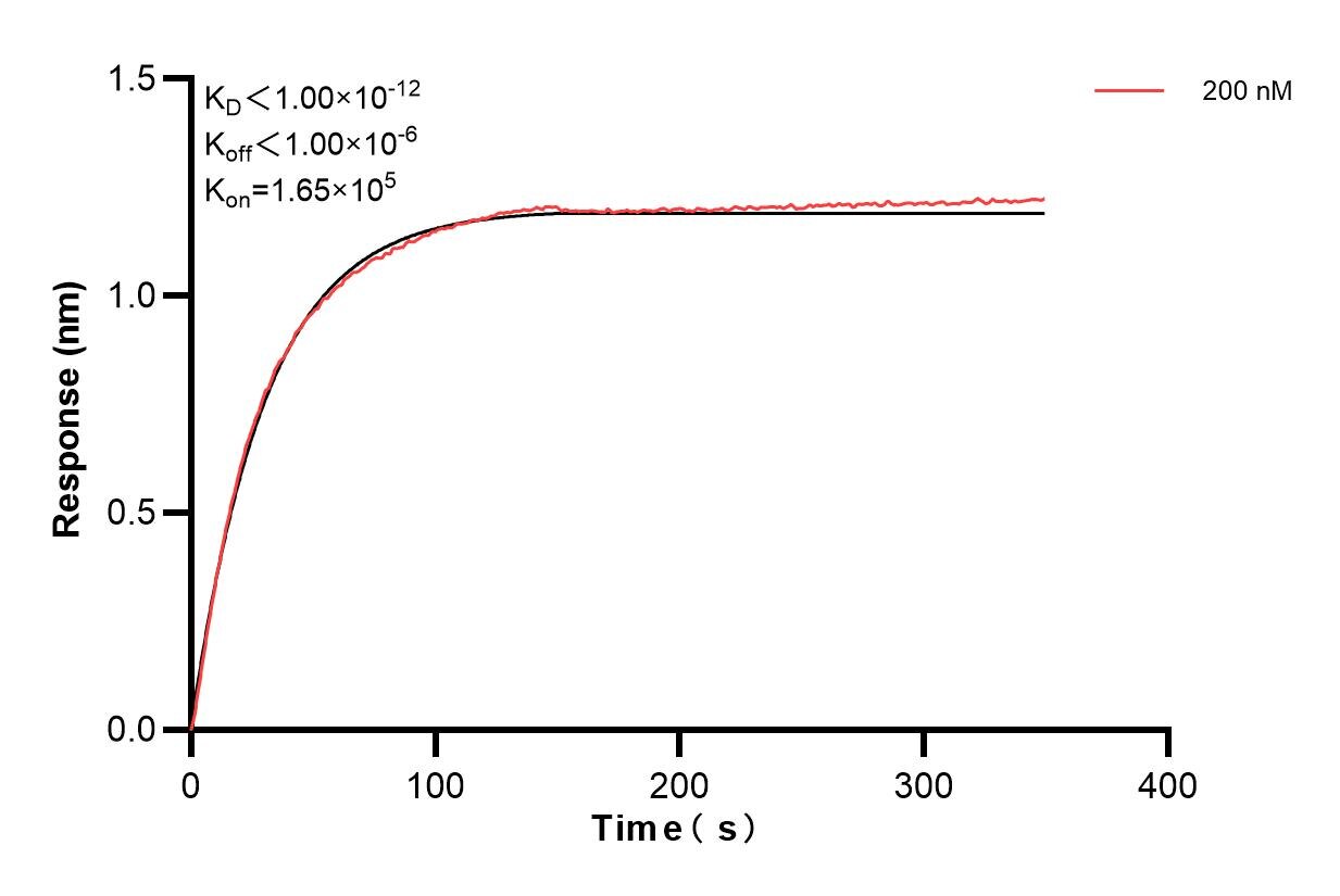 Affinity and Kinetic Characterization of 83737-5-PBS