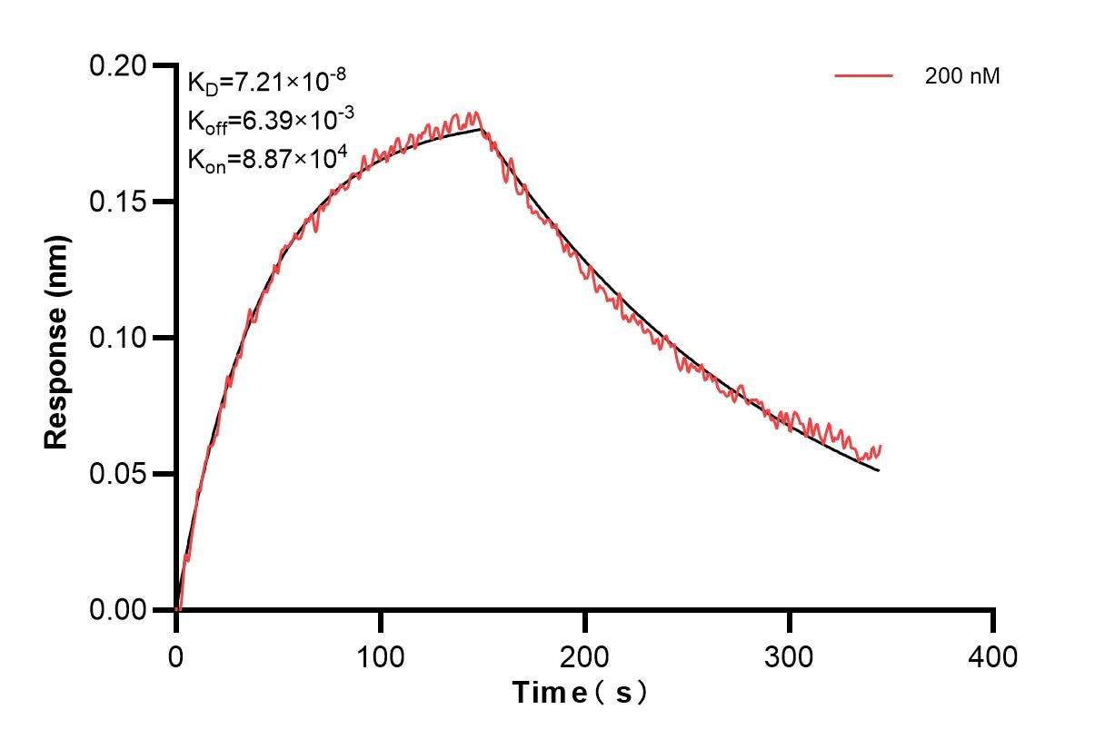 Affinity and Kinetic Characterization of 83738-2-PBS
