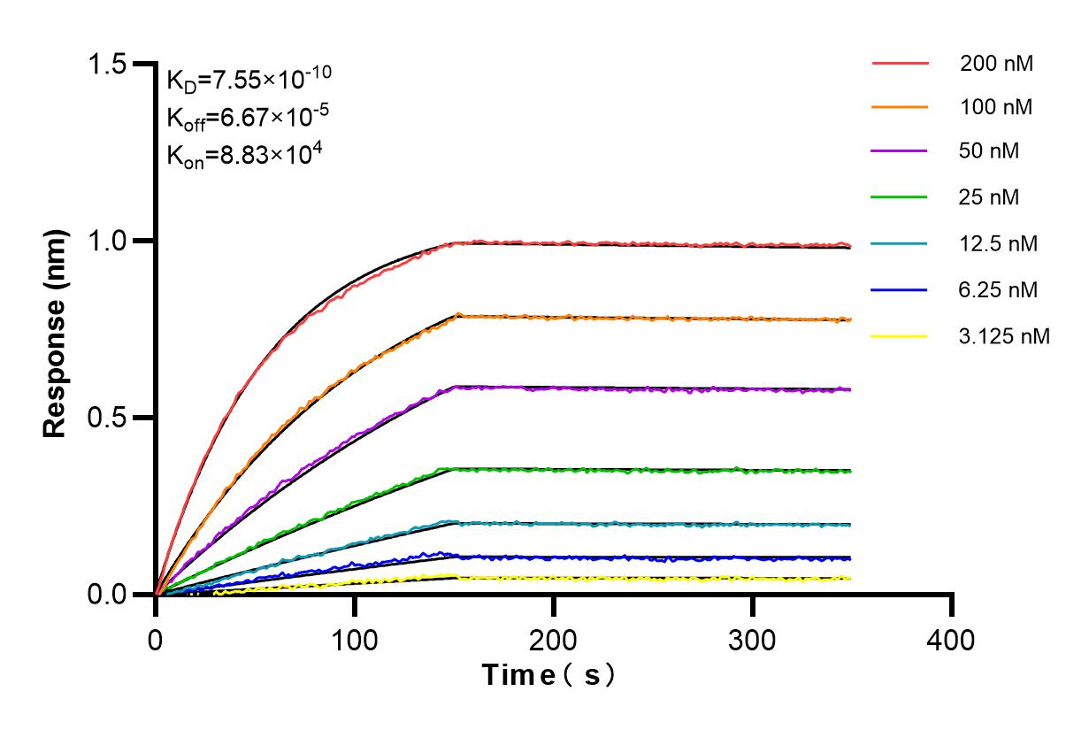 Affinity and Kinetic Characterization of 83739-1-PBS