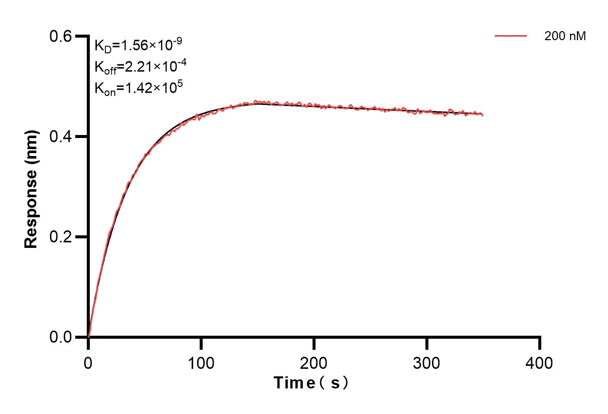Affinity and Kinetic Characterization of 83747-1-PBS