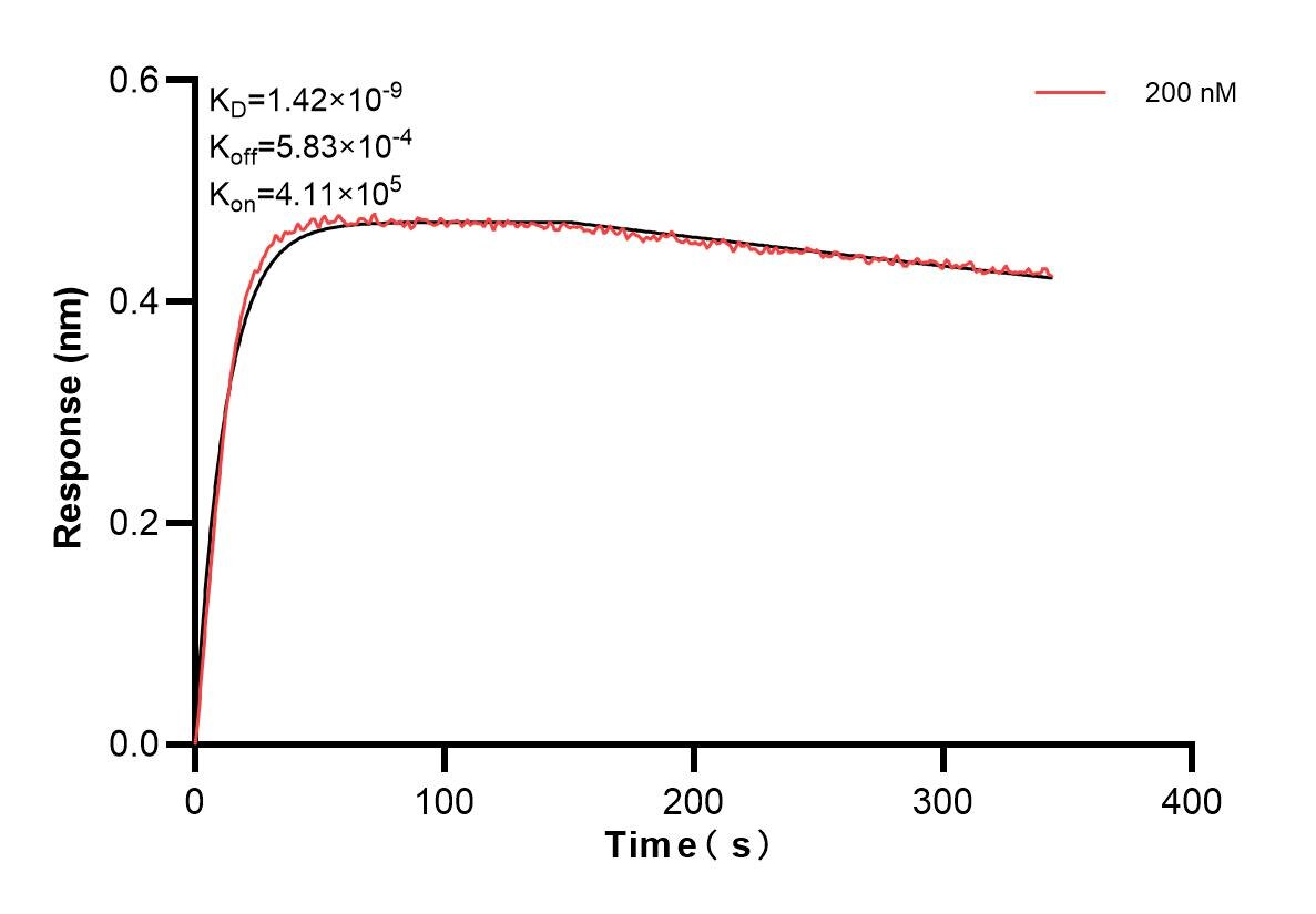 Affinity and Kinetic Characterization of 83747-2-PBS