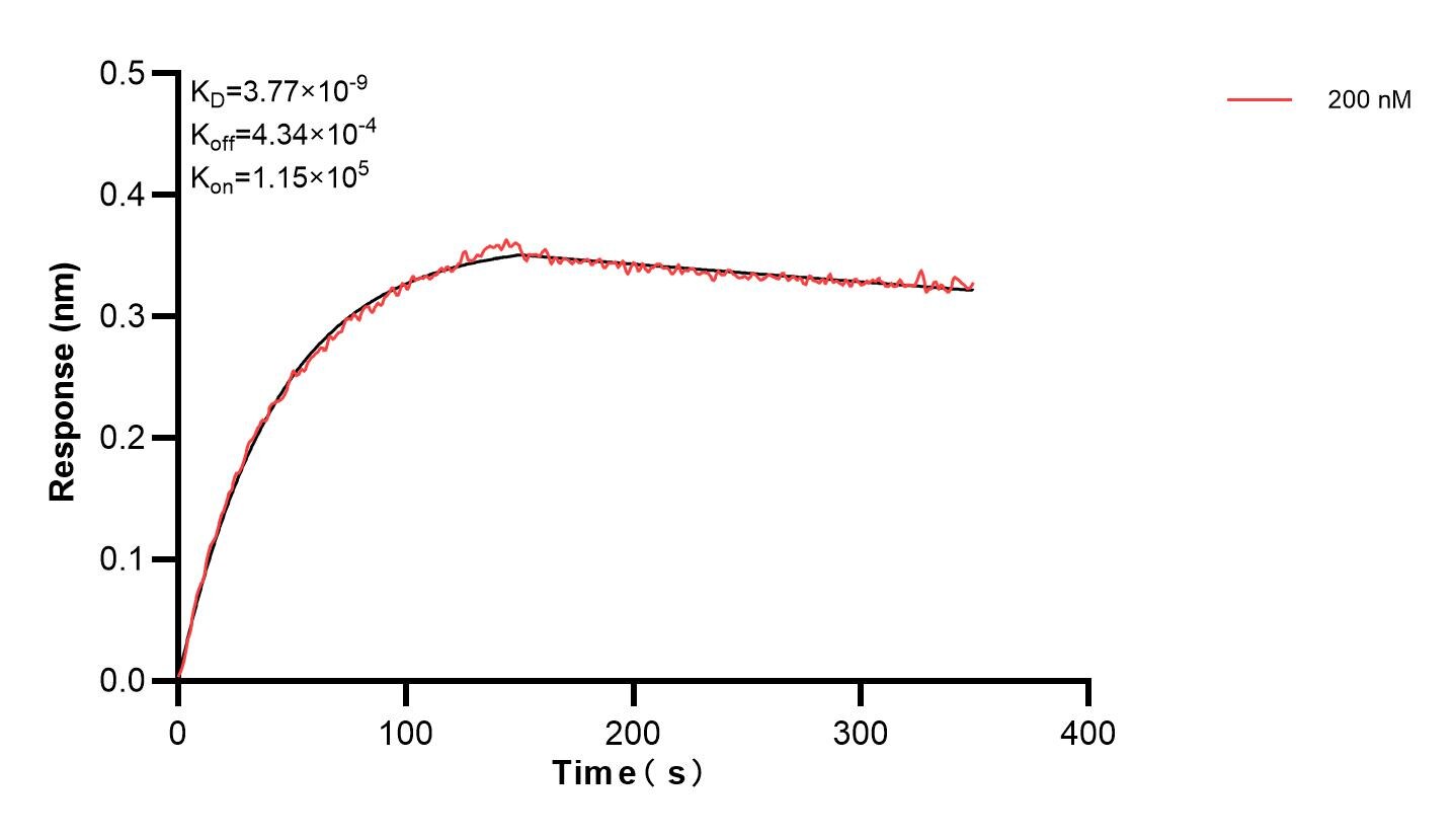 Affinity and Kinetic Characterization of 83747-3-PBS