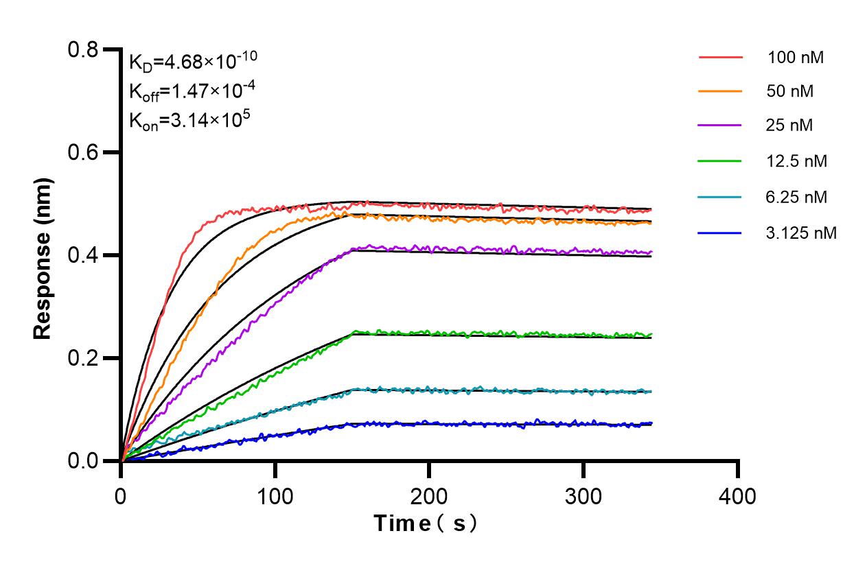 Affinity and Kinetic Characterization of 83747-9-PBS