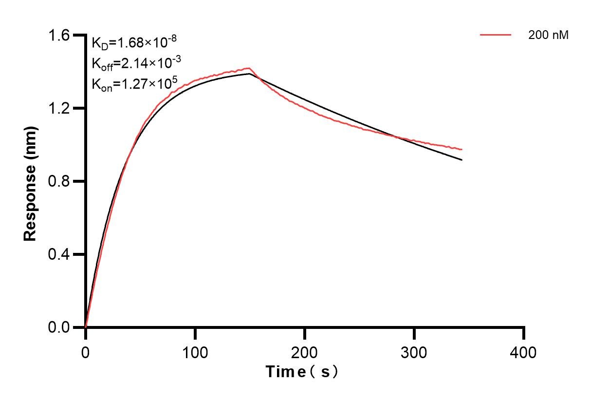 Biolayer interferometry (BLl) kinetic assays of 83750-1-PBS against Human CKMT1A were performed. The affinity constant is 16.8 nM. Affinity of 83750-1-PBS