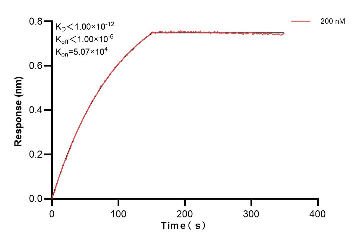 Affinity and Kinetic Characterization of 83752-4-PBS