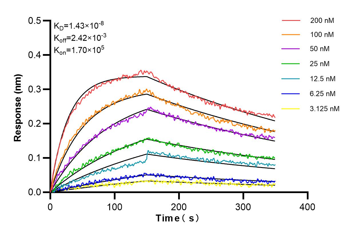 Affinity and Kinetic Characterization of 83762-2-PBS