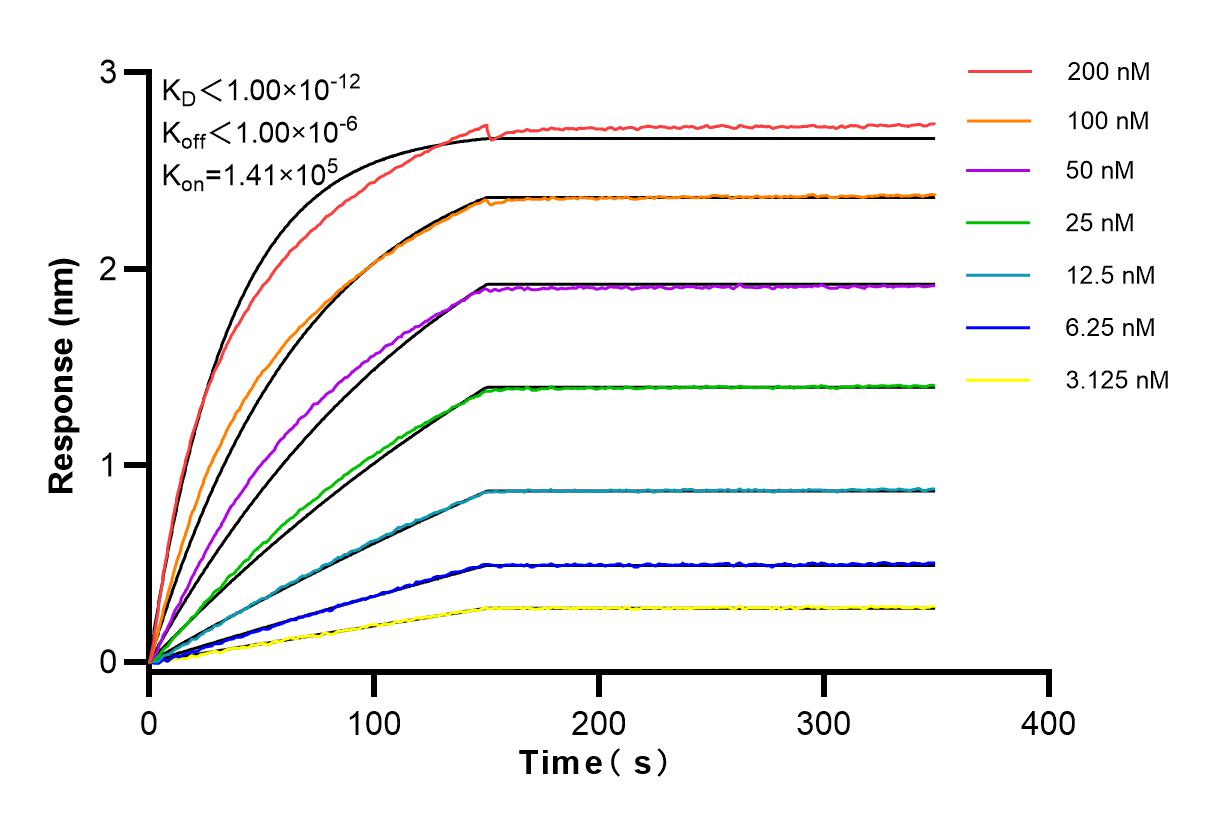 Affinity and Kinetic Characterization of 83769-2-RR