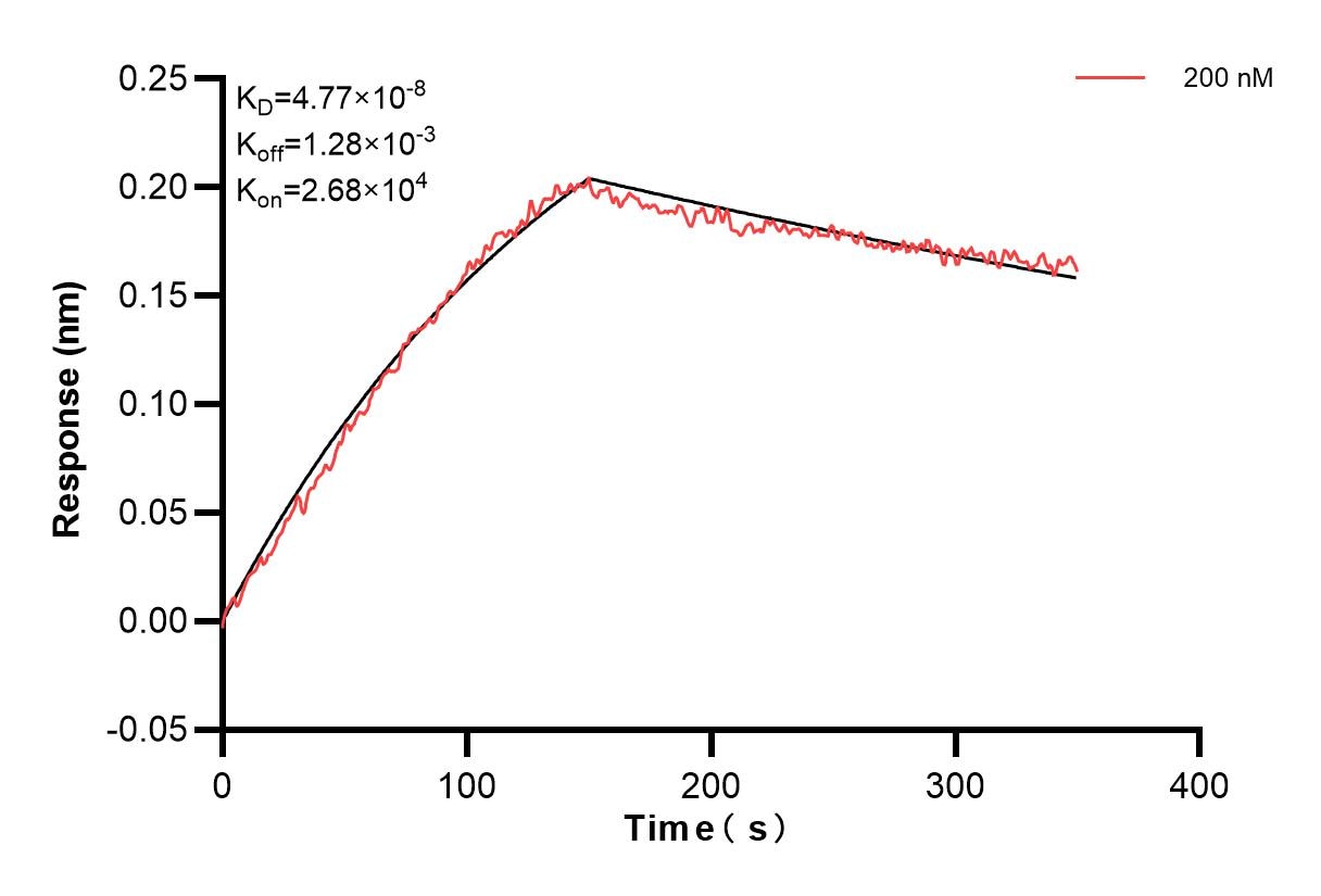 Affinity and Kinetic Characterization of 83774-1-PBS