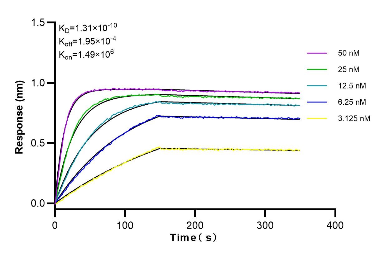 Affinity and Kinetic Characterization of 83776-4-PBS