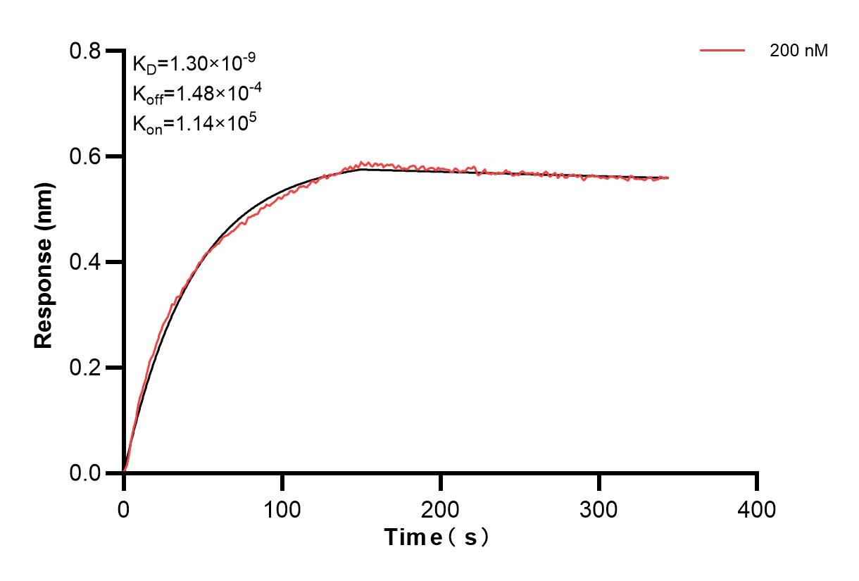 Affinity and Kinetic Characterization of 83782-5-PBS