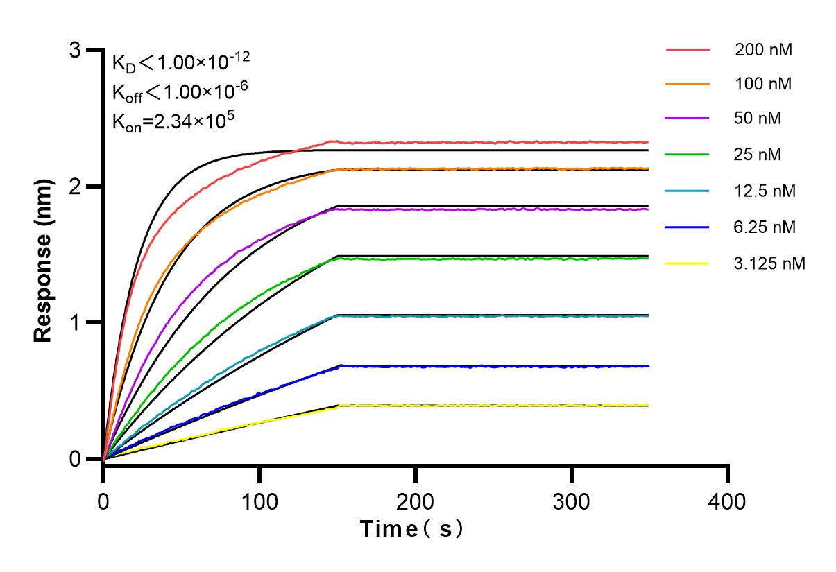 Affinity and Kinetic Characterization of 83786-4-RR