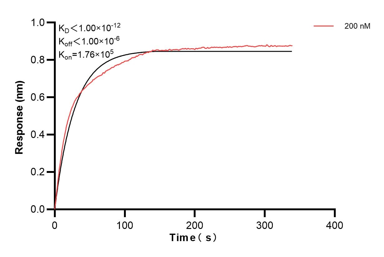 Affinity and Kinetic Characterization of 83787-2-PBS