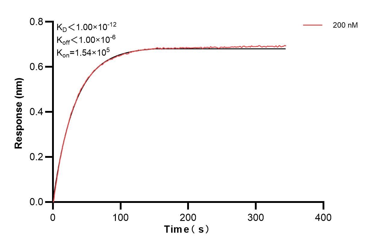 Affinity and Kinetic Characterization of 83793-3-PBS
