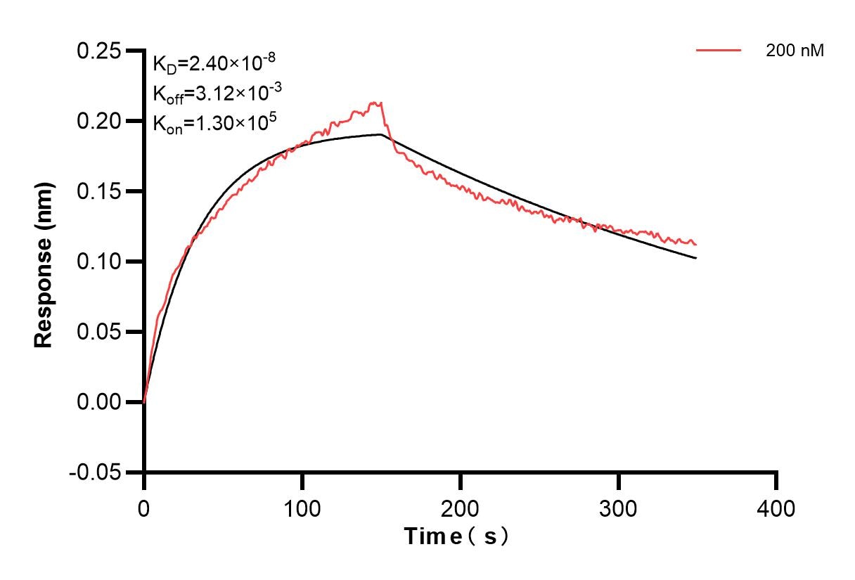 Affinity and Kinetic Characterization of 83795-5-PBS