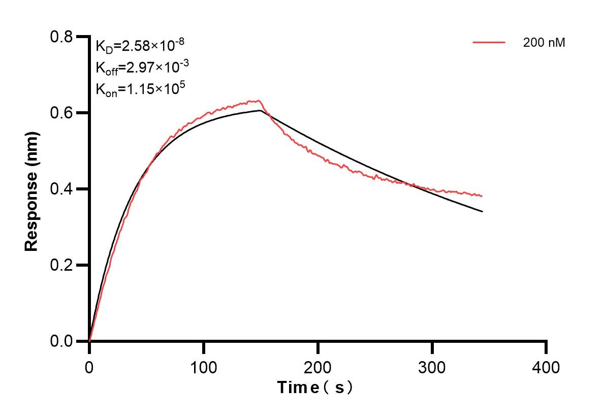 Affinity and Kinetic Characterization of 83795-6-PBS
