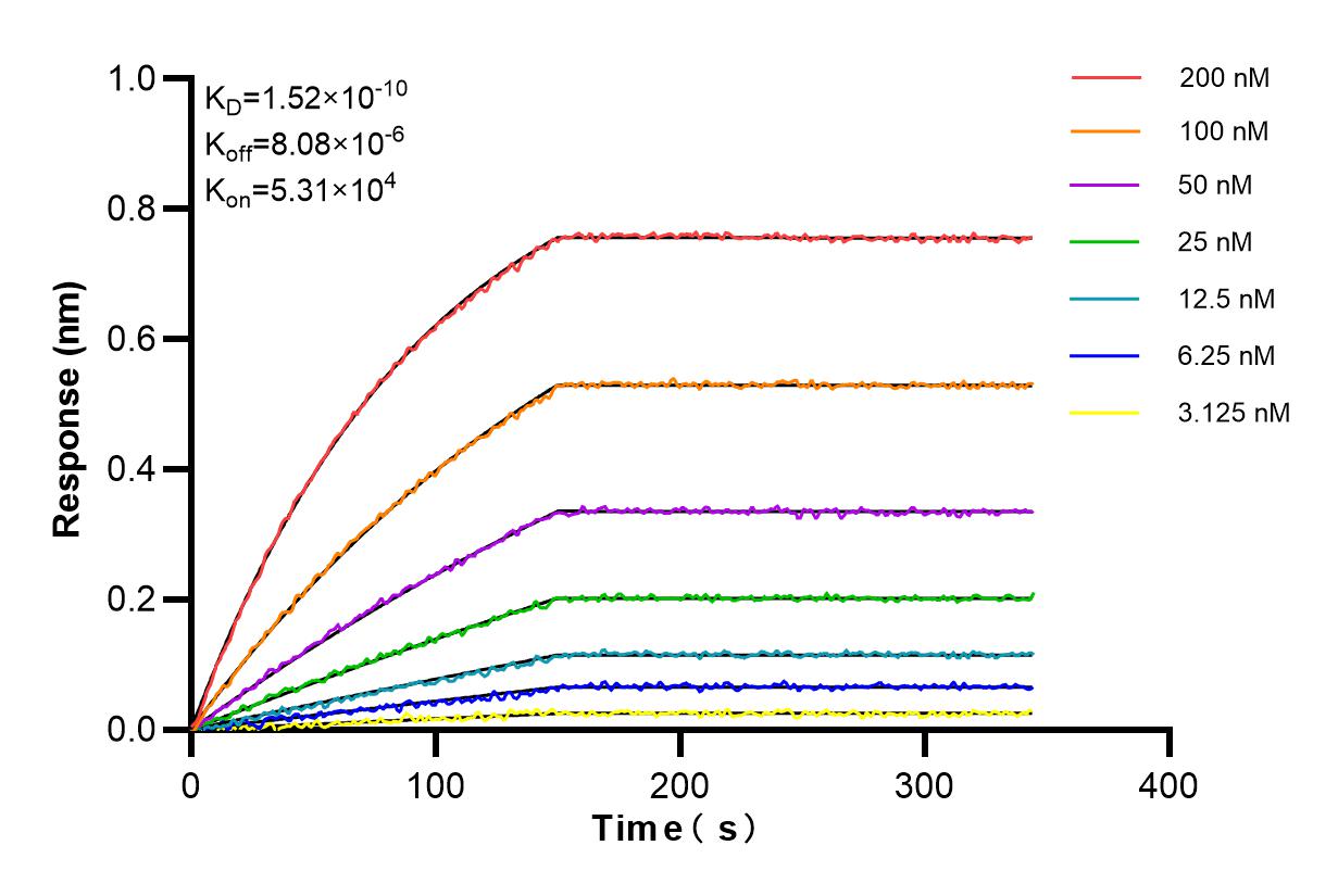 Affinity and Kinetic Characterization of 83815-2-RR