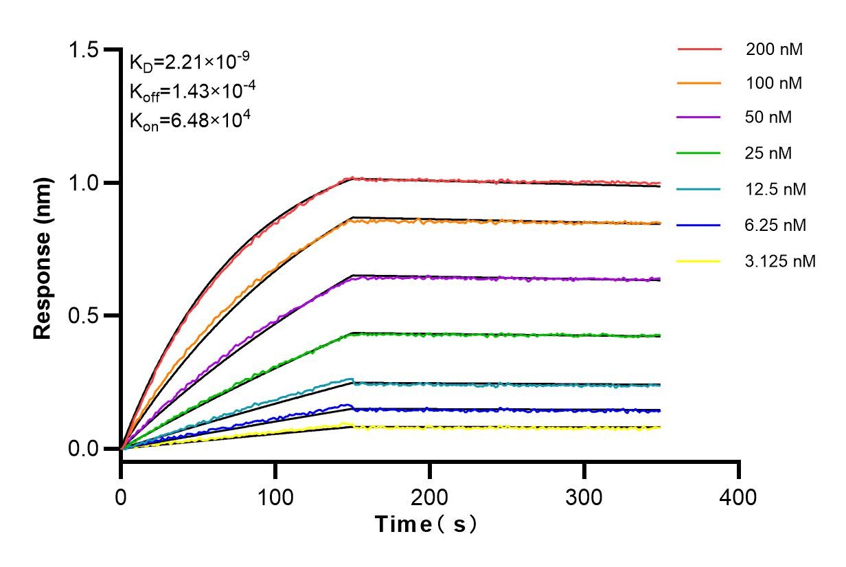 Affinity and Kinetic Characterization of 83816-1-RR