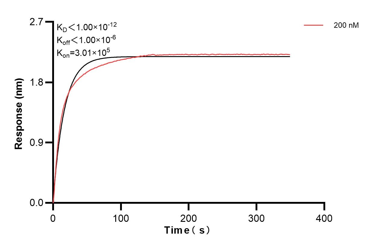Affinity and Kinetic Characterization of 83820-3-PBS