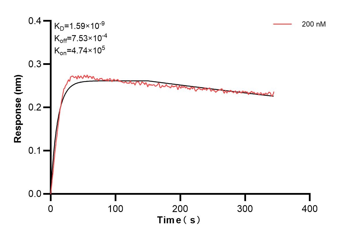 Affinity and Kinetic Characterization of 83833-4-PBS