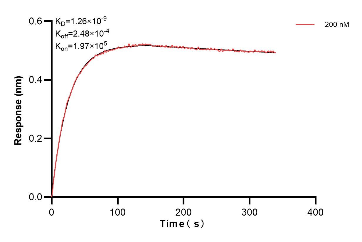 Affinity and Kinetic Characterization of 83844-3-PBS