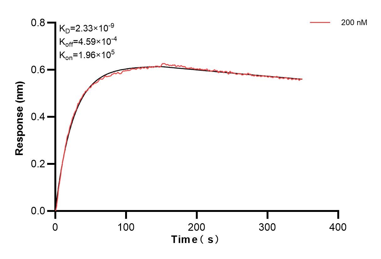 Affinity and Kinetic Characterization of 83844-7-PBS