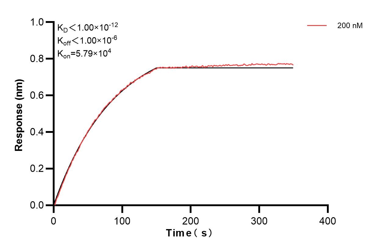 Affinity and Kinetic Characterization of 83852-5-PBS