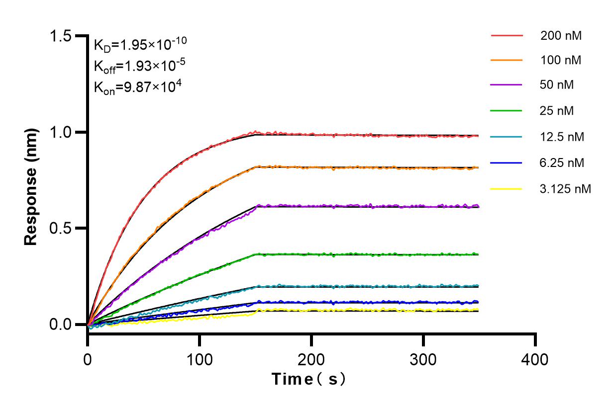 Affinity and Kinetic Characterization of 83853-2-RR