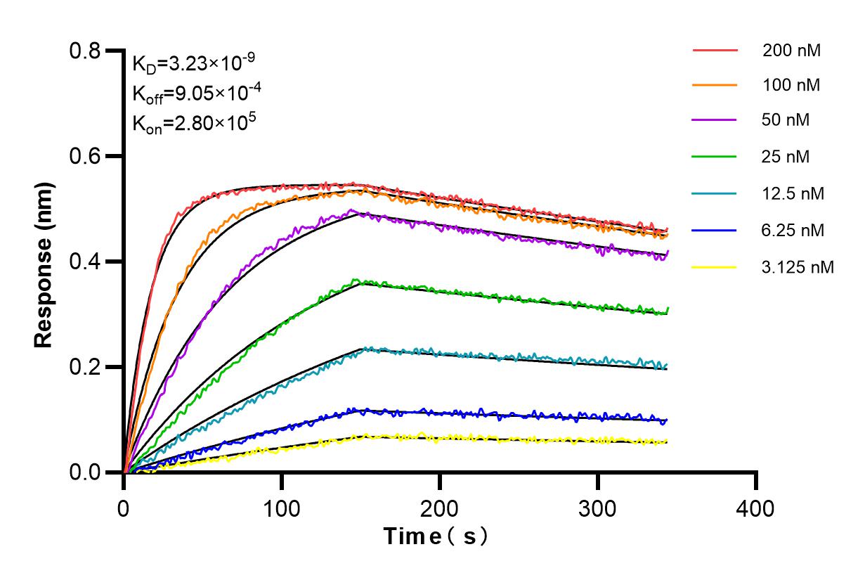 Affinity and Kinetic Characterization of 83857-2-PBS