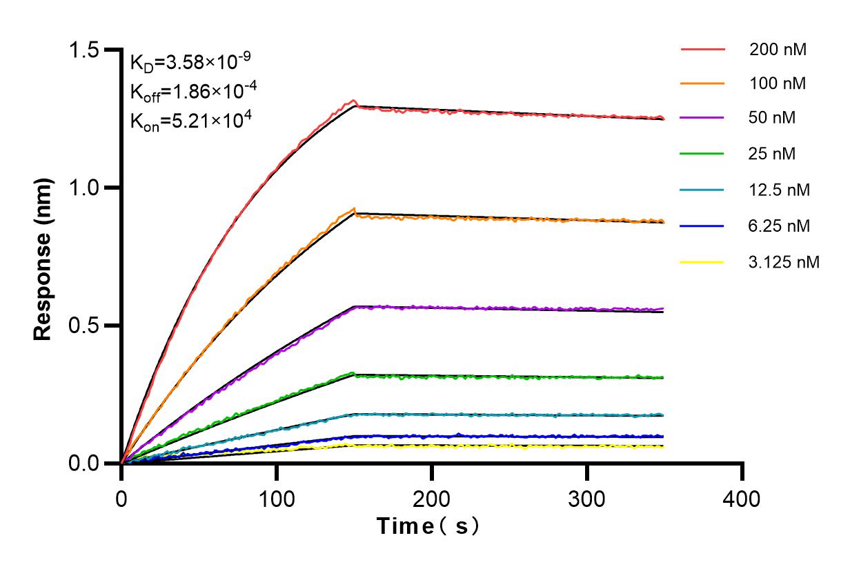 Affinity and Kinetic Characterization of 83858-3-RR
