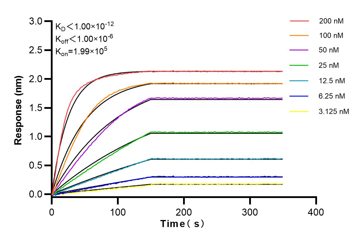Affinity and Kinetic Characterization of 83860-1-RR