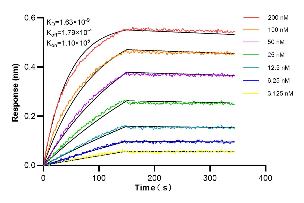 Affinity and Kinetic Characterization of 83863-3-RR