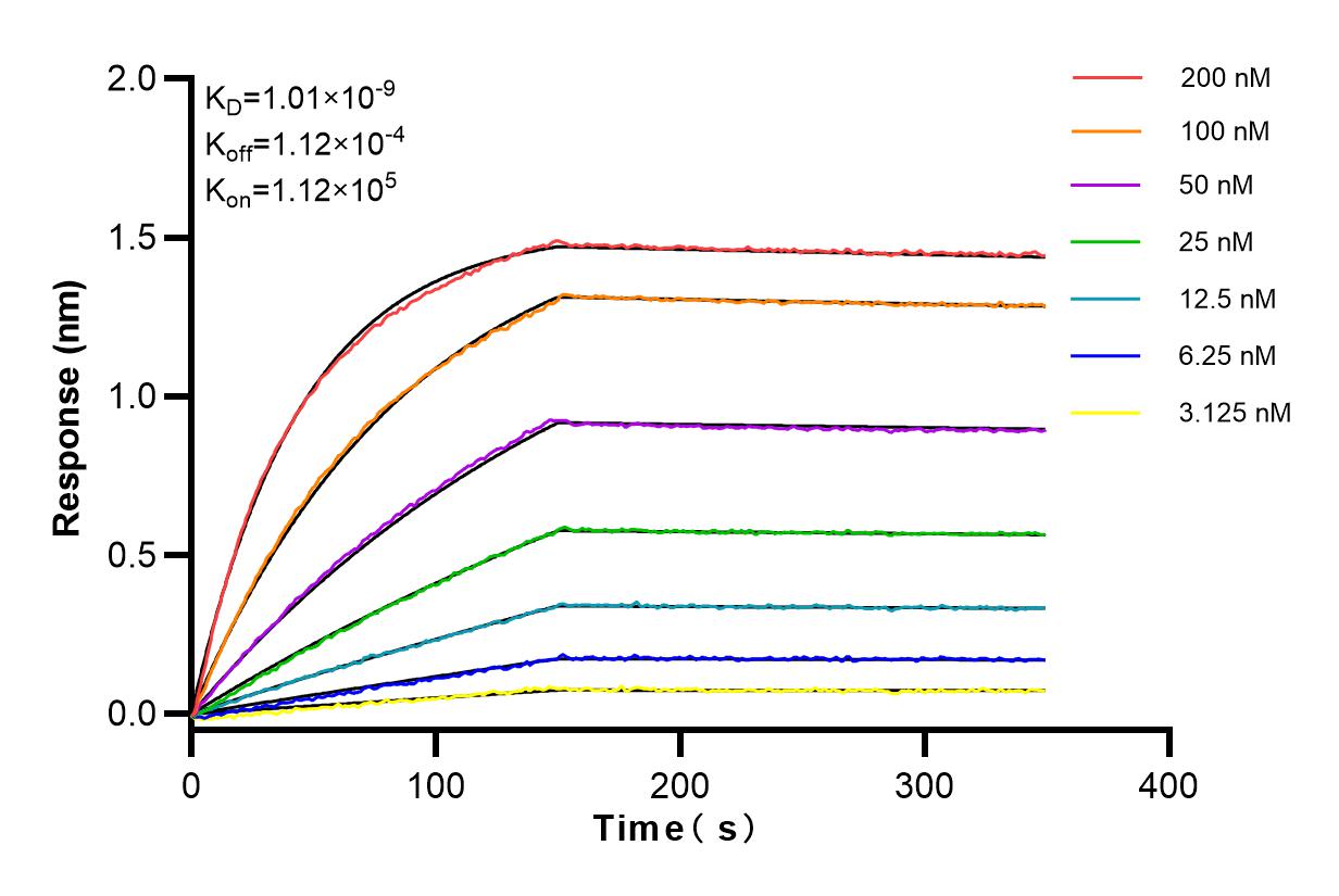 Affinity and Kinetic Characterization of 83868-1-RR