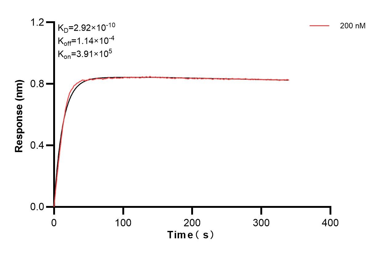 Affinity and Kinetic Characterization of 83875-4-PBS