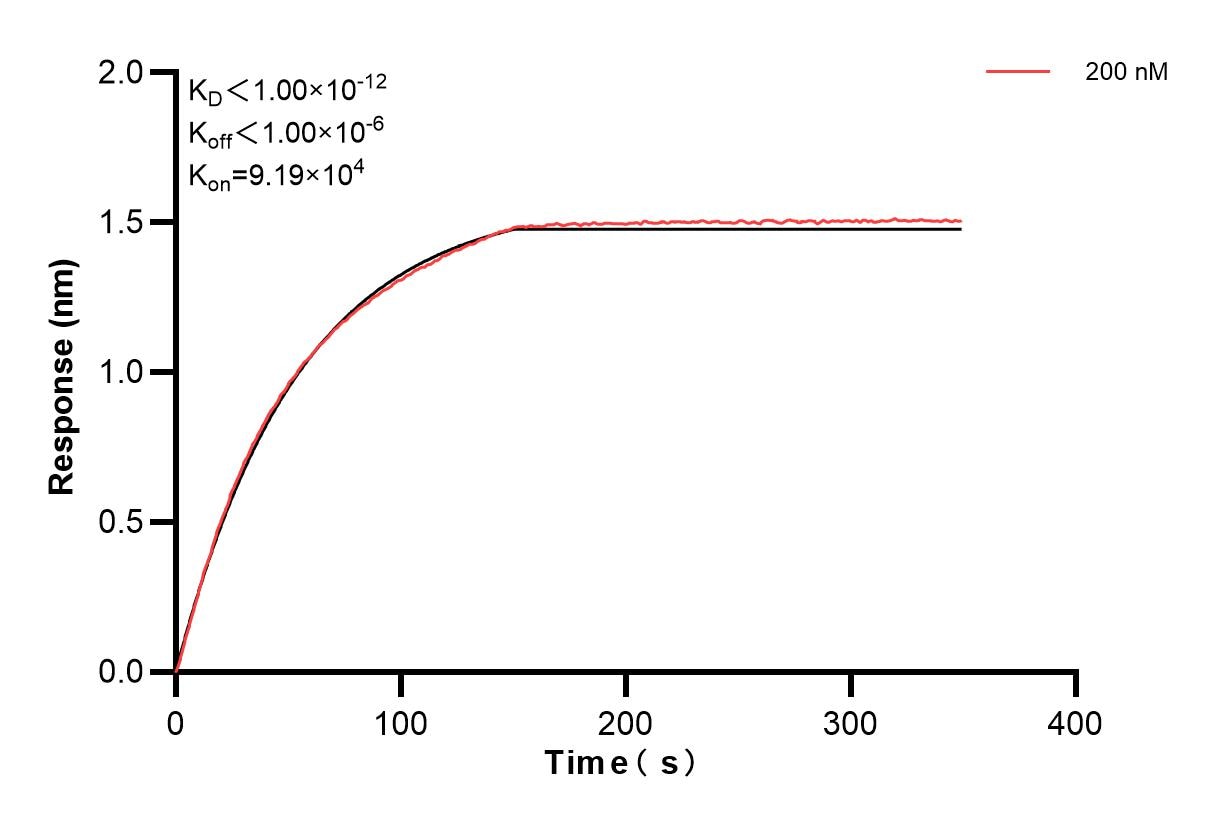 Affinity and Kinetic Characterization of 83876-2-PBS