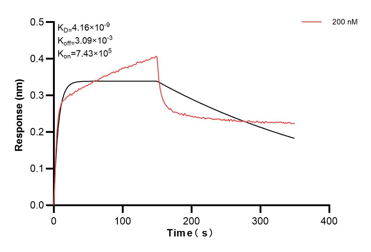 Affinity and Kinetic Characterization of 83880-3-PBS