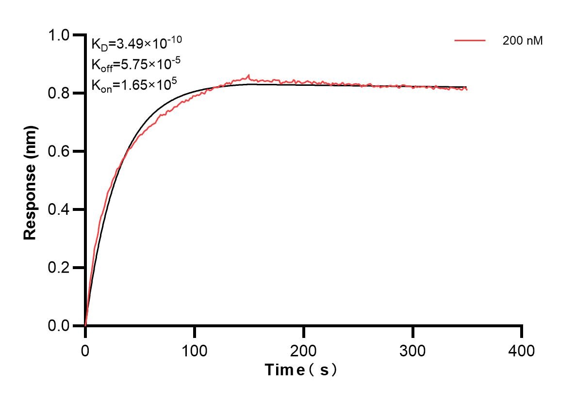 Affinity and Kinetic Characterization of 83880-4-PBS