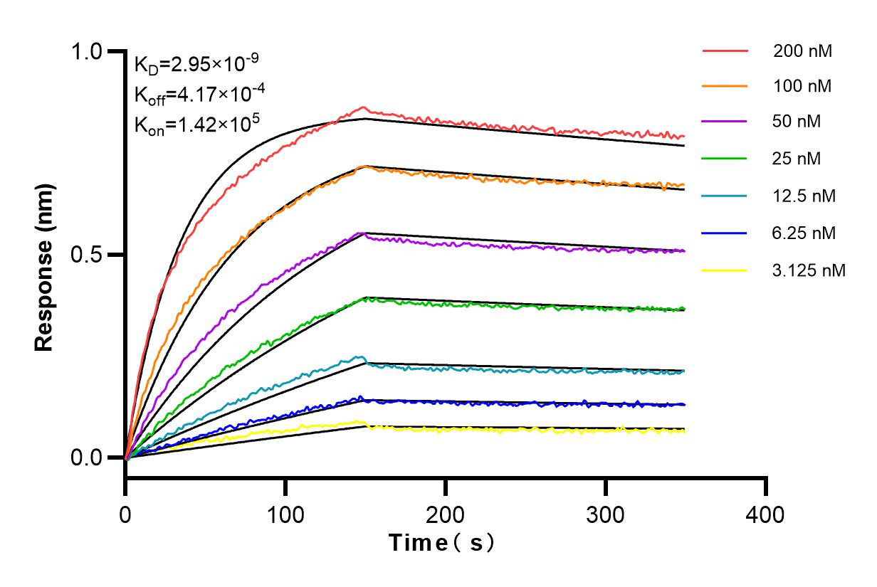 Affinity and Kinetic Characterization of 83880-5-RR