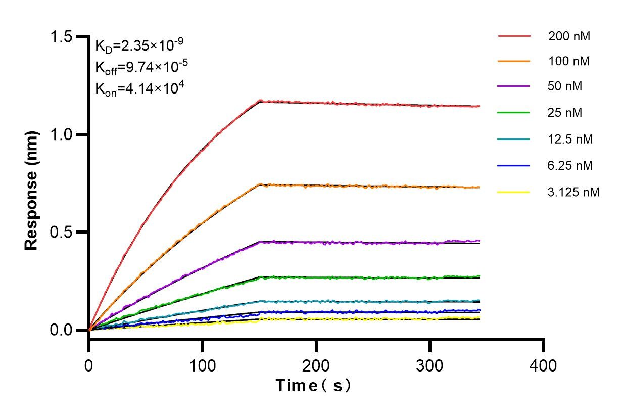 Affinity and Kinetic Characterization of 83881-2-PBS