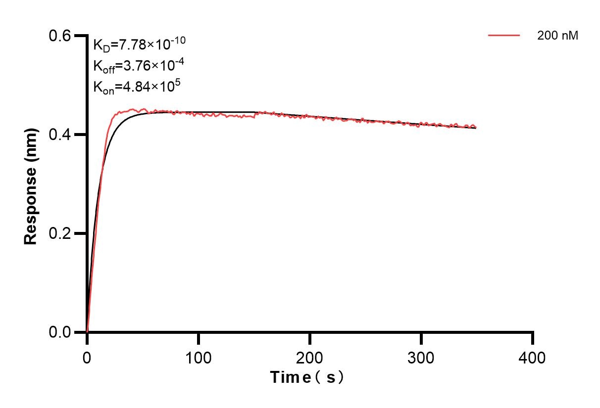 Affinity and Kinetic Characterization of 83887-1-PBS