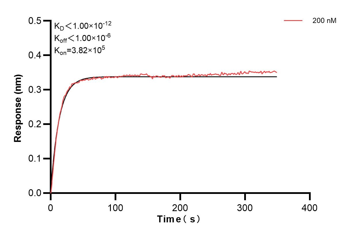 Affinity and Kinetic Characterization of 83894-4-PBS